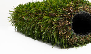 Homeowner Landscape Turf